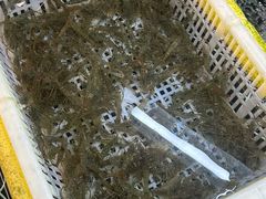 -毛哥小馆子(百井坊巷店)