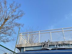 -游心咖啡(青山滨江店)