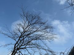 -武当山风景区