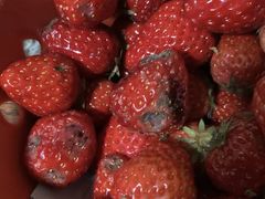 -江杨农产品批发市场