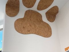 -纳吉亚猫专科动物医院·北北分院