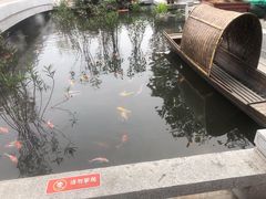 -洲心明记烧肉大粥