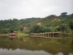 -神光山国家森林公园