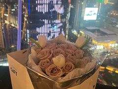 -Hi City·城市之巅