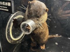 -太平洋海底世界