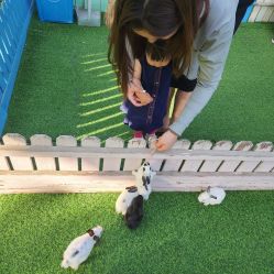 -萌宠亲子动物乐园(槐房万达店)