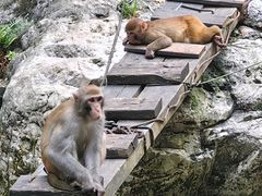 -三峡人家风景区