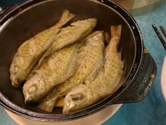 -御唐府海珊瑚主题餐厅