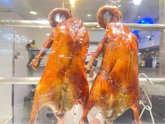 -清新鸡沙田乳鸽店(金融店)