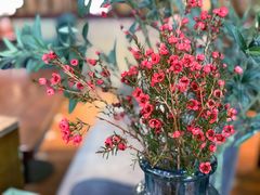 -芭莉与彩虹西餐厅(成都合生汇店)