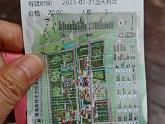 -黄海国家森林公园