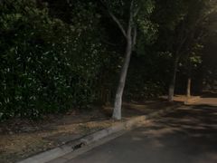 -峙山公园