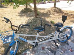 -黄海国家森林公园