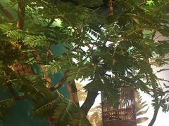 -佬麻雀·新湘菜(珠海金发购物中心店)