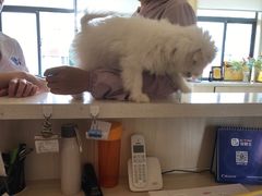 -宠颐生宠物医院·骨外科·犬猫全科诊疗中心(池州店)