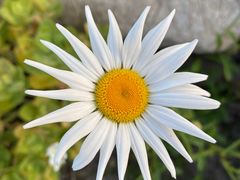 -上海植物园-4号门售票处