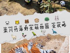 -栾川竹海野生动物园