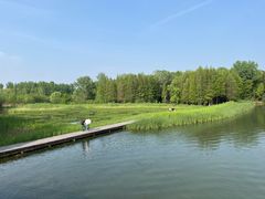 -溱湖国家湿地公园