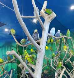 -未来动物城动物主题公园(大悦城店)
