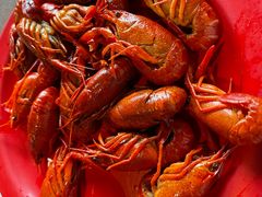 -好伦哥比萨烤肉自助(马家堡店)