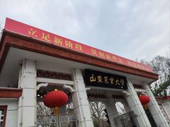 -山东农业大学(岱宗校区)
