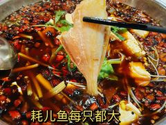 -川道拐耗儿鱼(置信路店)