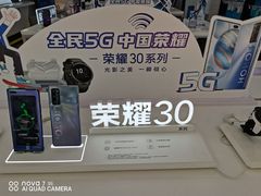-荣耀授权专卖店(黄浦浙江中路店)