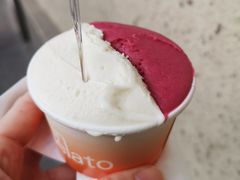 烤松子-Dip in Gelato(富民路店)
