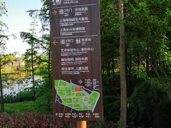 -上海长兴岛郊野公园