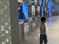 -澳门威尼斯人综合度假区