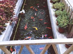 -老洋房花园饭店(绍兴路店)