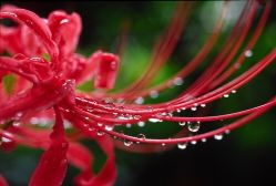 -汉刺青TATTOO STUDIO