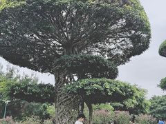 -南宁南湖公园