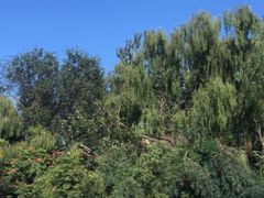 -东郊湿地公园