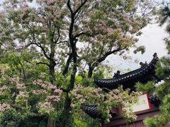 -黄鹤楼