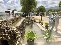 -海堤葡萄园中小学生研学基地