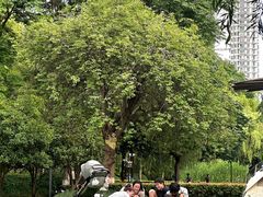 -苏州河梦清园环保主题公园