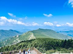 -白草畔自然风景区