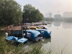 -长兴太湖图影湿地文化园