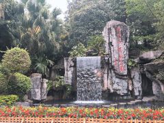 -广州市流溪河国家森林公园