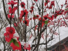 -盛世南宫影视城(北普陀影视城)