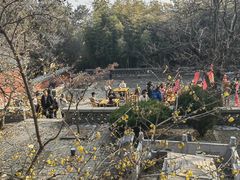 -泰山风景名胜区-普照寺