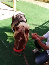 -萌宠亲子动物乐园(槐房万达店)