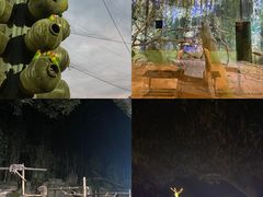 -杭州野生动物世界