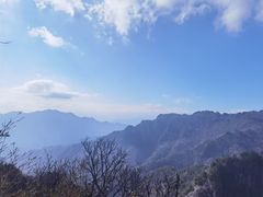 -朱雀国家森林公园