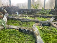 -国家植物园南园