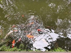 -成都杜甫草堂博物馆