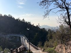 -青龙山国家森林公园