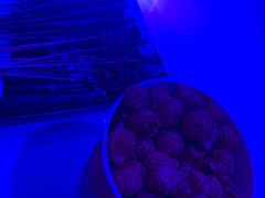 -星歌汇PARTY KTV•观澜兴万达店