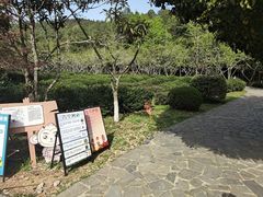 -九龙潭景区
